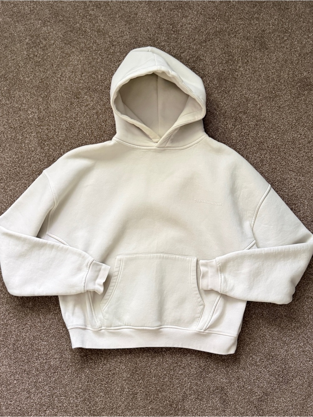 Sisters and Seekers hoodie